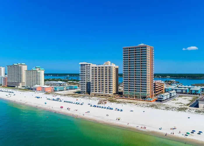 Phoenix 803 *